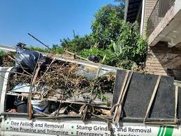 Best Residential Junk Removal  in Lake Andes, SD